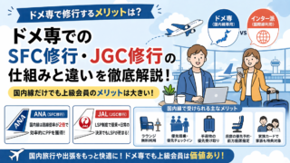 ドメ専とは何か？国内線中心のマイラー用語とSFC・JGC修行での意味