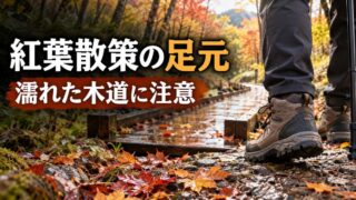 秋の木道の手前で足元を確認する旅行者。紅葉散策の足元、濡れた木道に注意